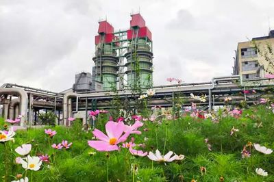 筑牢我國北方重要生態安全屏障 內蒙古蒙維科技打造花園式工廠 助力綠色低碳發展與生態環境保護